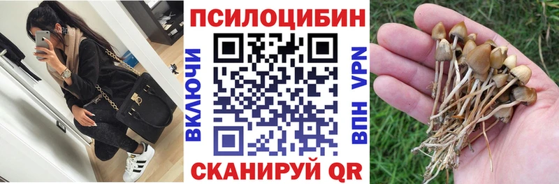 Псилоцибиновые грибы Psilocybine cubensis Пионерский
